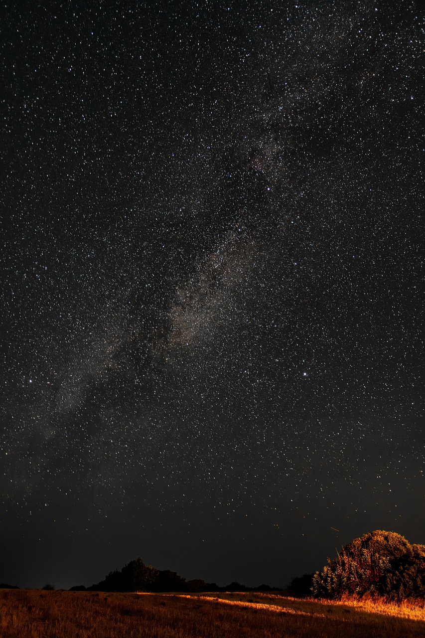 Derek Anthony Photography